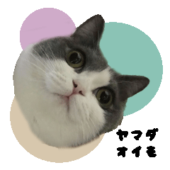 Honjitu no Oimosan stamp