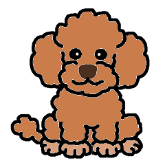 Daily life with toy poodle (apricot)