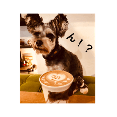 CafeVG_with dog