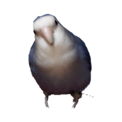 Akiko_20190401223051