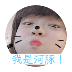 我是河豚河豚