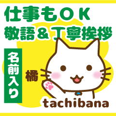 [TACHIBANA]Polite greeting. animal Cat