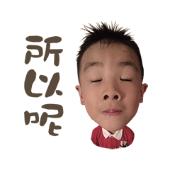 Yanfu Face 1.0