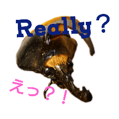 ヘラクレスオオカブトの気持ち Line スタンプ Line Store ヘラクレスオオカブトの気持ち Line スタンプ Line Store