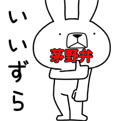 Dialect rabbit [chino2]
