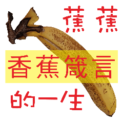 蕉蕉的一生
