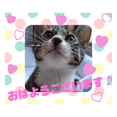 mei_2019033121241825