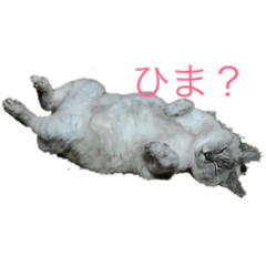 Icchan_20190402143209