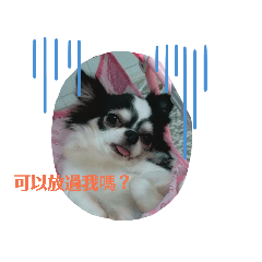 吉米江