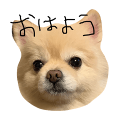 mayubabee_20190402164544