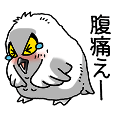 I love Owl! Part 4(White Owl ver.2)