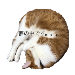 kinako_20190402214436