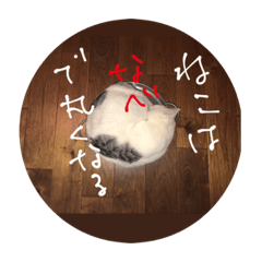 JUN_20190402162921