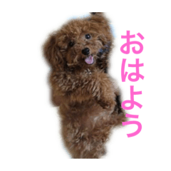 JUN_20190406110712