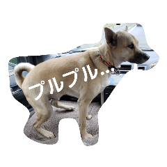MEGUMI_20190406004628