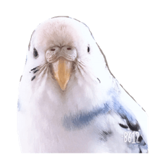 Asuka_20190403140958