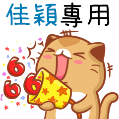 Niu Niu Cat-" JIA YING "B