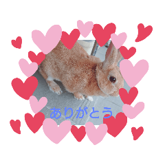MIWAlove