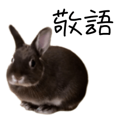 Rabbit Coo (honorfic in Japanese)
