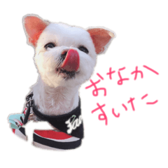 Seira_20190403201130