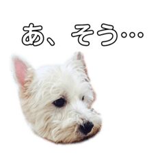 ame.kaka.coco