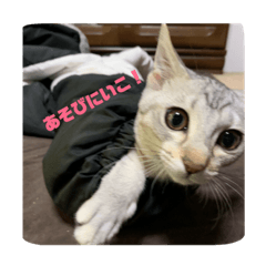 mimi_20190407101505