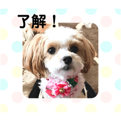 kuu_20190407115641