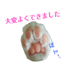 junjun_20190404081131