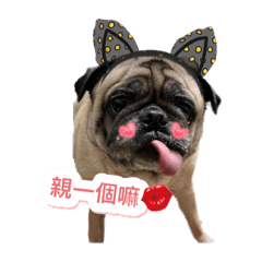蒂蒂2