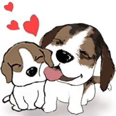 the beagles 2019-everyday conversation