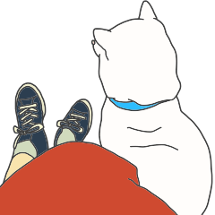 A year of a Japanese white dog
