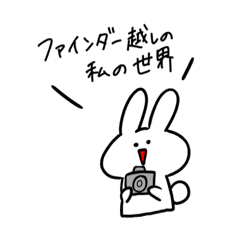 カメラ大好きうさぎ Line スタンプ Line Store