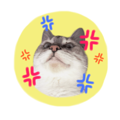 monaka_20190404173208