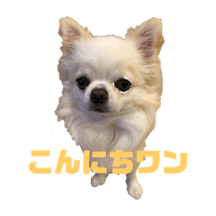 HANA_20190404215131