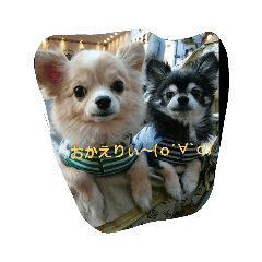 sally_20190408003336