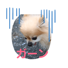 zousan_20190404220459