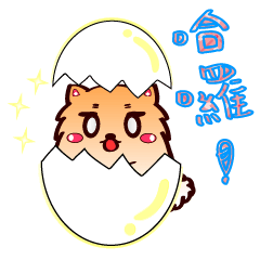 Soft boiled egg Pomeranian