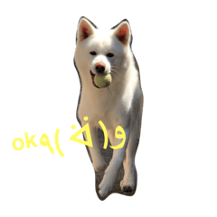 moco_20190404230720