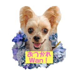 DALE_20190408