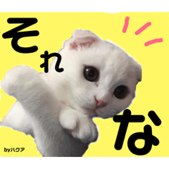 Mizuki_20190410034152