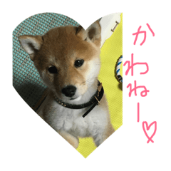 Chisato_20190409235015