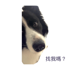 Lucy_2019040913051