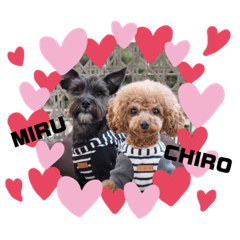 CHIRO &  MIRU②