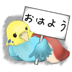 Cute bird Ki-chan