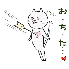 the white cat "nyaun chan"