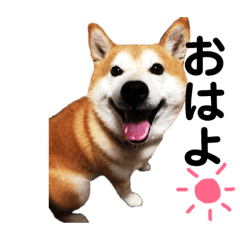 KAORU_20190409231308