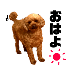 KAORU_20190329230457