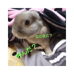 rika_20190409225348
