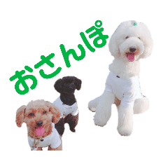 yukko_20190405100329