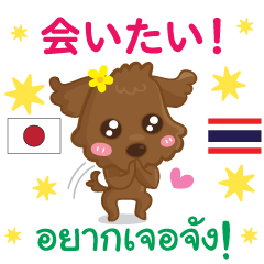 Japanese Thai Everyday Toy Puddle